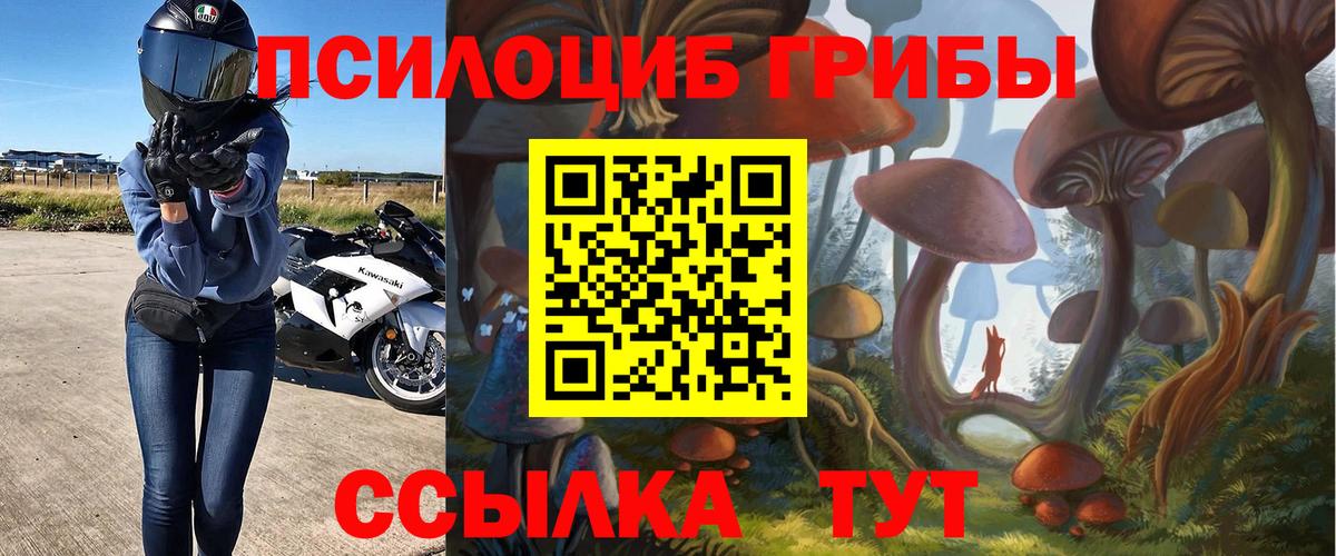 Галлюциногенные грибы MAGIC MUSHROOMS  Галлюциногенные грибы Magic Shrooms  Димитровград  Вход с VPN 
