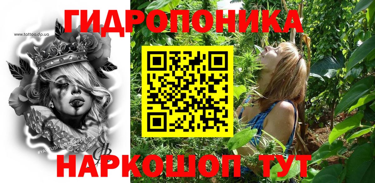 Каннабис Ganja Димитровград